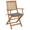 vidaXL Chaises pliables d'ext&eacute;rieur et coussins lot de 8 Bois d'acacia