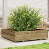 vidaXL Jardini&egrave;re 100x100x26,5 cm bois de pin impr&eacute;gn&eacute;