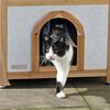 Kerbl Maison pour chats Tyrol Alpin 88x57x77 cm Marron clair