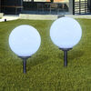vidaXL Lampes d'all&eacute;e &agrave; LED 2 pcs 30 cm avec piquet de sol