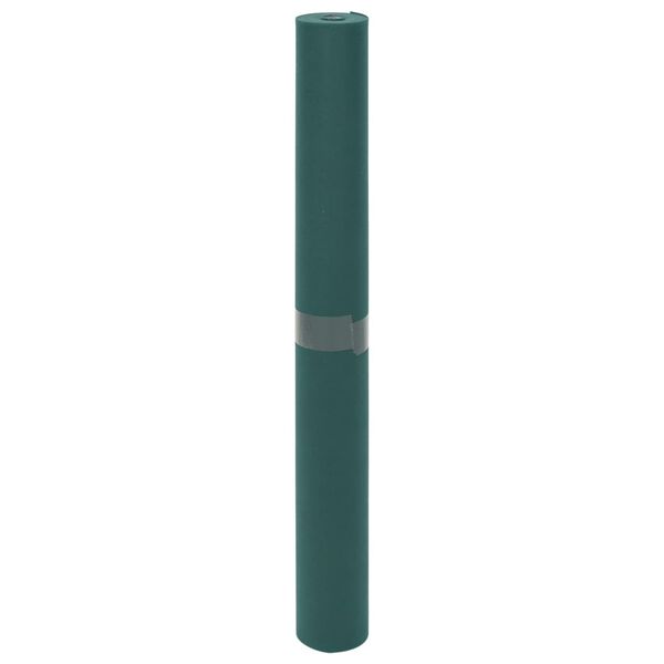 vidaXL Toison v&eacute;g&eacute;tale 2 rouleaux 70 g/m&sup2; 10x1,6 m