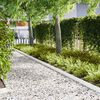 vidaXL Bordure de Pelouse 10 pcs Blanc 100 x 0.05 x 20 cm
