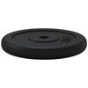 vidaXL Plaque de poids 40 kg Fonte