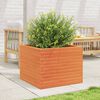 vidaXL Jardini&egrave;re cire marron 60x60x46 cm bois de pin massif