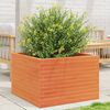 vidaXL Jardini&egrave;re cire marron 70x70x46 cm bois de pin massif