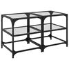 vidaXL Tables basses avec dessus en verre transparent 2 pcs acier