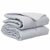 vidaXL Duvet complet toute l'ann&eacute;e 200 x 200 cm 300 gsm Argent&eacute;