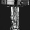 Tiger Pomme de douche Tossa Chrome