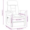 vidaXL Fauteuil inclinable Gris fonc&eacute; Similicuir daim