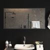 vidaXL Miroir de salle de bain &agrave; LED 100x50 cm