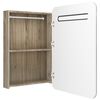 vidaXL Armoire de salle de bain à miroir LED blanc et chêne 60x11x80cm