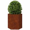 vidaXL Jardini&egrave;res 2 pcs hexagone 46x40x45 cm acier patinable