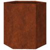 vidaXL Jardini&egrave;res 2 pcs hexagone 46x40x45 cm acier patinable