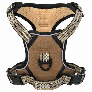 vidaXL Harnais pour chien avec laisse et collier r&eacute;glables marron M