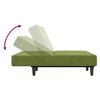 vidaXL Canap&eacute;-lit &agrave; 2 places Vert clair Velours