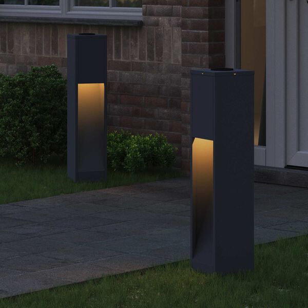 vidaXL Lumi&egrave;re de Chemin LED Solaire 2 pcs Anthracite