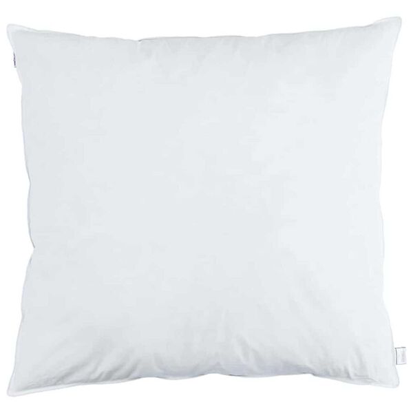 vidaXL Oreiller avec oreiller 2 pcs Blanc 60 x 60 cm Plume