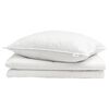 vidaXL Duvet d'&eacute;t&eacute; simple avec oreiller 2 pc Blanc Plume de canard