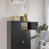vidaXL Classeur noir 90x40x40 cm acier
