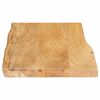 vidaXL Dessus de table 60x40x3,8 cm bord vivant bois massif manguier