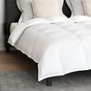 vidaXL Ensemble de Duvet avec oreiller 3 pcs Blanc Plume de canard