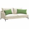 vidaXL Coussins de canap&eacute; 2 pcs Vert clair 80 x 40 cm