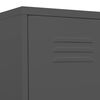 vidaXL Armoire &agrave; casiers Anthracite 35x46x180 cm Acier