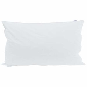 vidaXL Oreiller avec oreiller Blanc 40 x 80 cm Plume