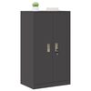 vidaXL Armoire de rangement Noir 60 x 40 x 105 cm Acier