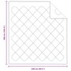 vidaXL Duvet toutes saisons avec oreiller 3 pcs Blanc Microfibre