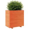 vidaXL Jardini&egrave;re cire marron 70x40x72,5 cm bois de pin massif