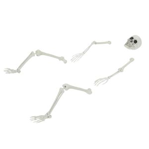 vidaXL Squelette d'Halloween avec piquets de sol Blanc 45,5 x 13 cm