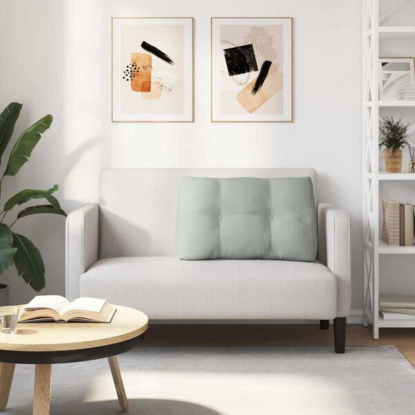 vidaXL Coussin de Dos Gris clair 80 x 24 x 50 cm Velours