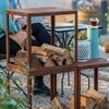 RedFire Abri de stockage du bois de chauffage Hodr Rouill&eacute; 88519