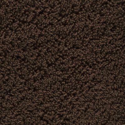 vidaXL Essuie-mains de qualité supérieure 10 pcs marron 100% coton