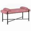 vidaXL Banc capitonn&eacute; &agrave; boutons avec coussins Rose 110 x 40 x 46 cm