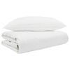 vidaXL Duvet d'&eacute;t&eacute; simple avec oreiller 2 pc Blanc Plume de canard