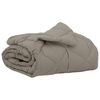 vidaXL Duvet d'&eacute;t&eacute; simple Gris clair 200 x 135 cm Microfibre