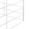 vidaXL Cage pour lapins Argent&eacute; 300 x 100 x 210 cm Acier galvanis&eacute;