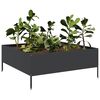 vidaXL Lit sur&eacute;lev&eacute; de jardin noir 100x100x25 cm acier