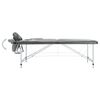 vidaXL Table de massage 2 zones Cadre en aluminium Anthracite 186x68cm