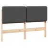 vidaXL T&ecirc;te de lit capitonn&eacute;e Brun et gris fonc&eacute; 160 cm Pin massif