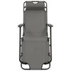vidaXL Chaises longues pliables 2 pcs avec repose-pied Acier Gris