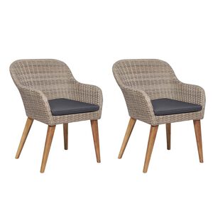 vidaXL Chaises d'ext&eacute;rieur et coussins lot de 2 R&eacute;sine tress&eacute;e Marron