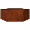 vidaXL Jardini&egrave;re Rouill&eacute; 138x120x45 cm Acier corten