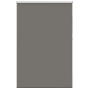 vidaXL Store enrouleur occultant largeur du tissu 161,6 cm polyester