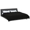 vidaXL Duvet complet toute l'ann&eacute;e Noir 220 x 240 cm Microfibre