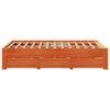 vidaXL Cadre de lit sans matelas avec tiroirs 120x200 cm bois pin