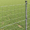 vidaXL Cl&ocirc;ture Euro 1,5 x 10 m Fer rev&ecirc;tu de PVC