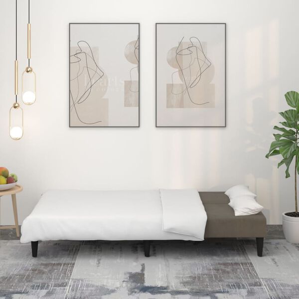vidaXL Canap&eacute;-lit &agrave; 2 places Gris fonc&eacute; Tissu microfibre